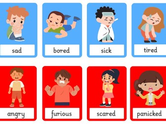 Zones of Regulation Display