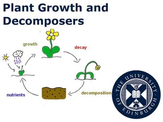Nothing Goes to Waste in Nature - Lesson Plans on Organic Matter Cycling