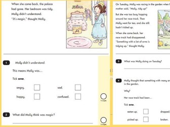 Year 2 SATs practice and revision Reading paper 1 guided reading