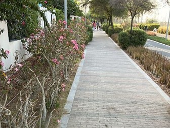 Search for my Tongue - Showing Progress after first reading