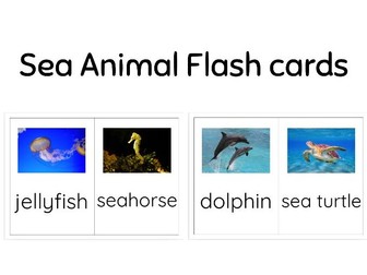 Sea Animal Flashcards – EYFS / Preschool