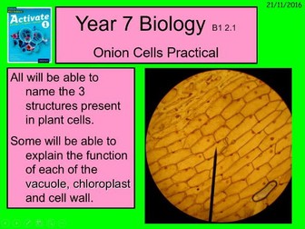 Year 7 Activate book 1 Biology B1.2 Structure and function of body systems | Teaching Resources