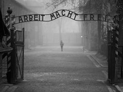 The Holocaust Scheme of Work