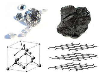 Year 9 IGCSE Science 1.3 Carbon Cycle