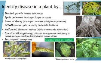 AQA Detection and identification of plant diseases. 4.3.3.1