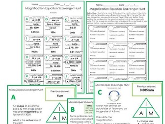 IAM Magnification Equation questions Scavenger Hunt