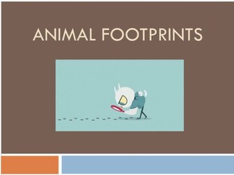 Animal Foot prints Ppt