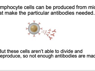 Making and Using Monoclonal Antibodies