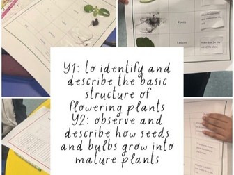 KS1 - Science- Plants - Parts of a plant