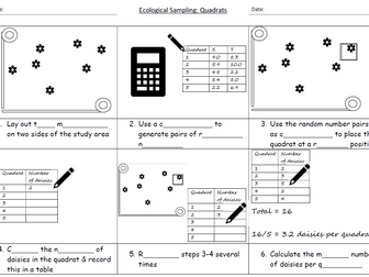 Quadrat method KS3 SEN