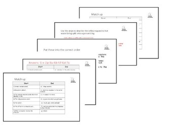 GCSE Reflex Arc Worksheets – Differentiated Activities with Answers