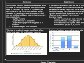 A* OCR Bio A A-level Classification & Evolution Notes