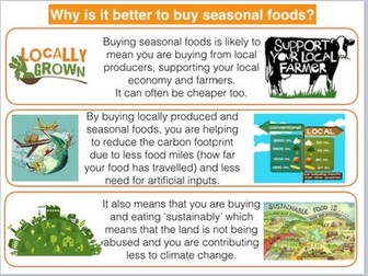Seasonality and Sustainability