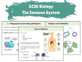 GCSE Biology - The Immune System