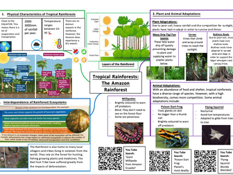 Amazon Rainforest Case Study Information Sheet (AQA)