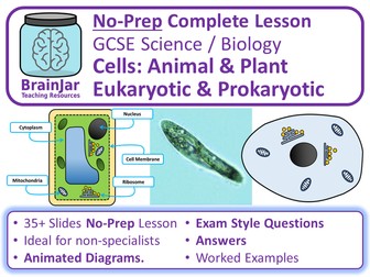 Eukaryotic, Prokaryotic, Animal and Plant Cells