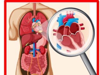 Human Circulatory System lesson 3 to support Collins Hub version 2
