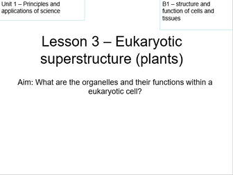 Eukaryotic superstructure - plant cells