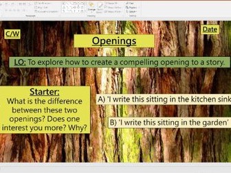 Creative Writing - Openings