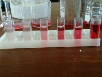Effect of Temperature on Beetroot Cells