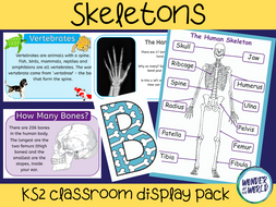 Skeletons Classroom Display Pack KS2 | Teaching Resources