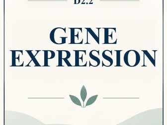 IB Biology HL D2.2 Gene Expression MCQ Practice