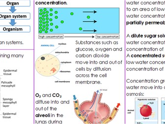 Organisation - Critical Content Sheet (AQA GCSE Biology - Triple)