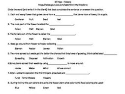 Bill Nye the Science Guy Flowering plants Video follow along sheet