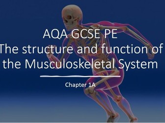 AQA GCSE PE - Chapter 1A -  PowerPoint