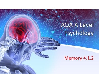 AQA A Level  Psychology Memory