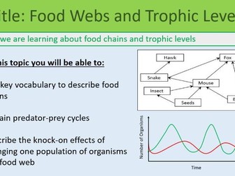 Food Webs and Trophic Levels Lesson GCSE Biology