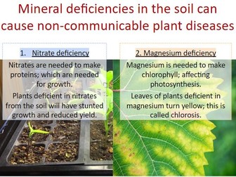 AQA Triple Biology Paper 1 Revision