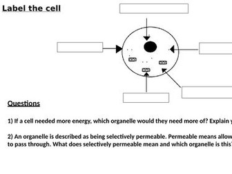 KS3 Animal Cells Worksheet