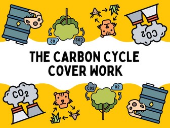 The Carbon Cycle - Cover work