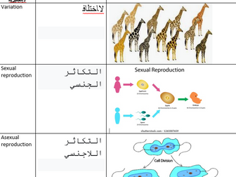 AQA GCSE Variation Keywords Arabic