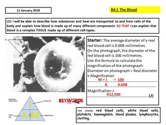 AQA B4.1 The Blood