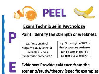 A Level Psychology Writing Frames Posters