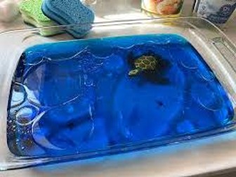 Oil spill experiment worksheet