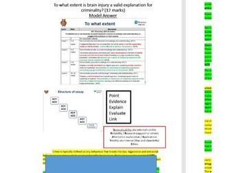 Edexcel A Level Psychology - Criminal - Brain Injury and Amygdala