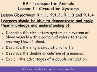 B9 Transport in Animals IGCSE Biology L1