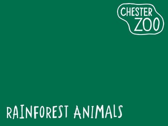 Learn at Chester Zoo - Rainforest Animals Powerpoint