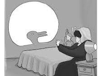 Visual Perception Theories (English & Chinese; IGCSE 0266 Psychology)