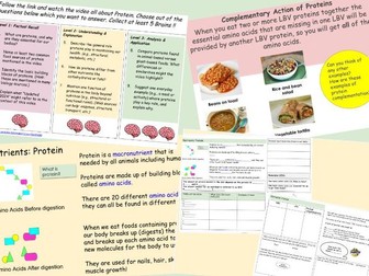 KS4 Lesson and work sheets on Protein
