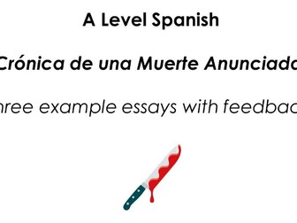 Crónica: 3 Essay Questions & Feedback