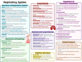 Knowledge organiser - respiratory system