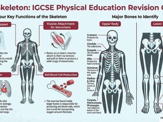 IGCSE PE: The Skeleton – Revision Suite