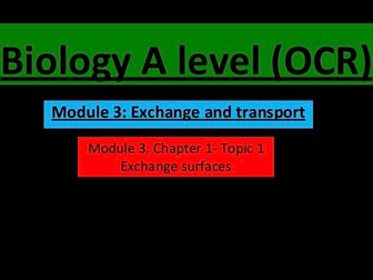 Exchange surfaces lesson (A level biology)
