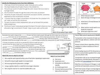 Revision Summary sheets and answers OCR A Biology A level Y12/13