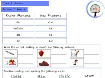 Early Reading & Phonics Homework/ Support Sheet- Autumn 2