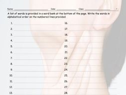 Body Parts Alphabetical Order II